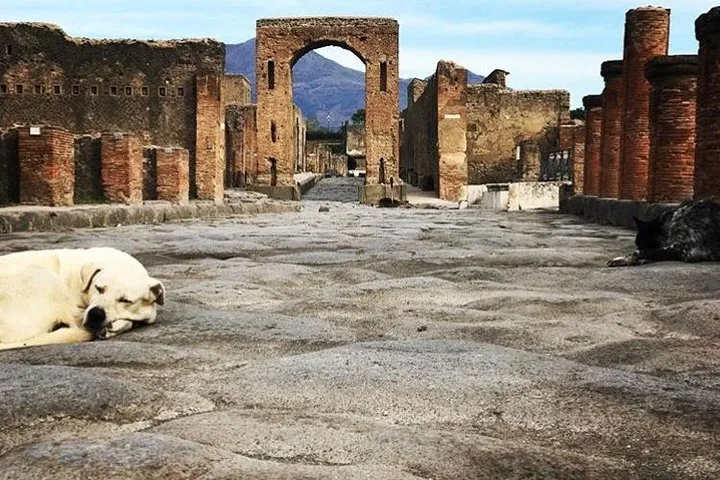 Pompeii Private Tour with Expert Guide