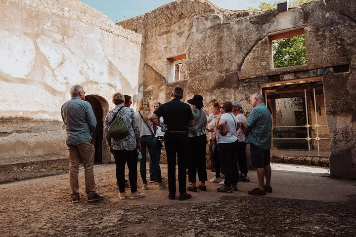 Pompeii and Herculaneum Small Group Tour with an Archaeologist, photo 1 from the operator's listing