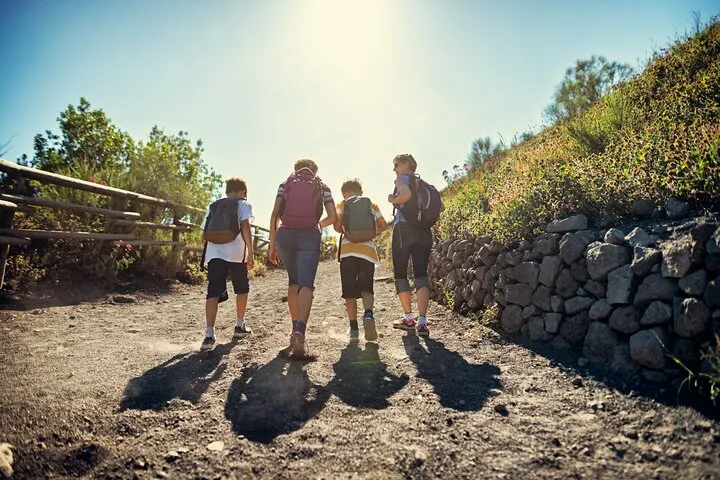 Vesuvius & Pompeii Signature Tour: Wine & Lunch from Naples