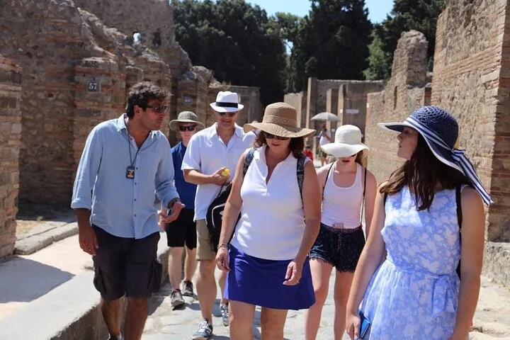 Pompeii 3 Hours Walking Tour Led by an Archaeologist, photo 1 from the operator's listing