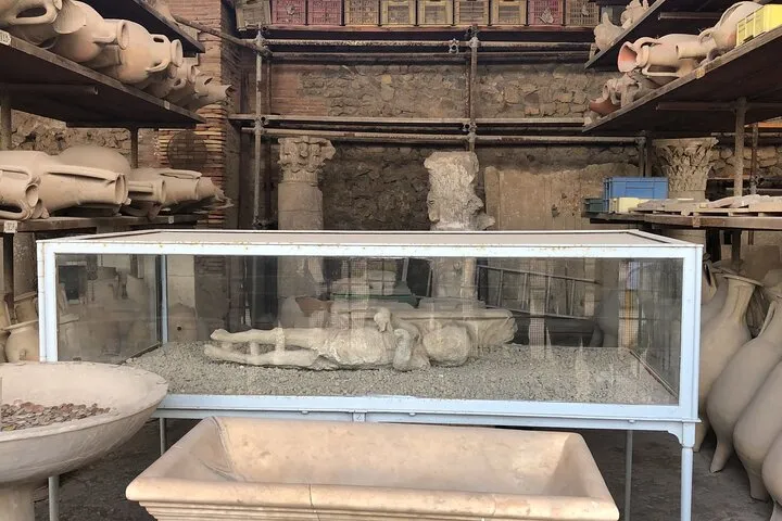 Private Pompeii and Herculaneum Day Tour with Pick Up, photo 2 from the operator's listing