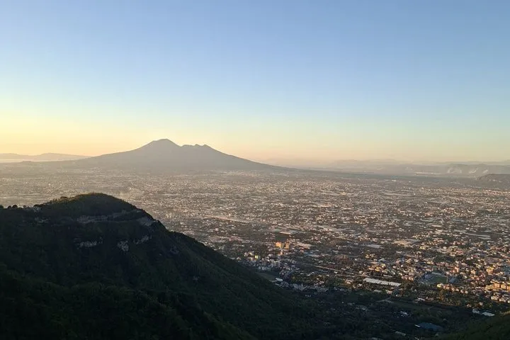 Vesuvius & Pompeii Signature Tour: Wine & Lunch from Naples, photo 2 from the operator's listing