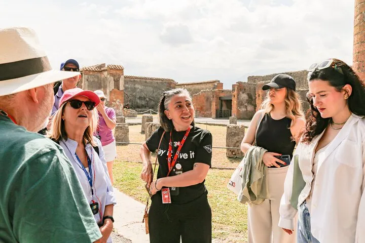 Priority Access Pompeii & Mt Vesuvius Full-Day Tour from Sorrento, photo 3 from the operator's listing
