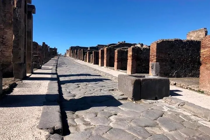 Pompeii private tour with expert guide in archaeology, photo 3 from the operator's listing