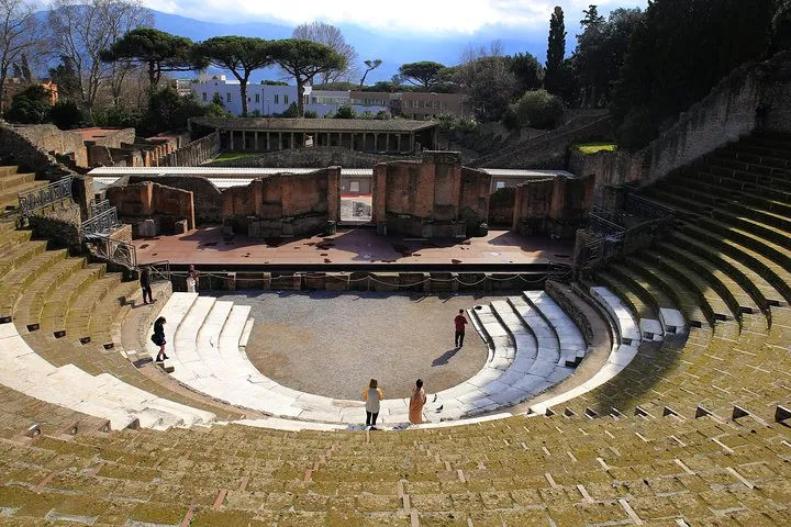 Skip-the-Line Half-Day Private Tour Ancient Pompeii Highlights with Native Guide, photo 3 from the operator's listing