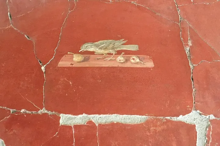Guided tour of Pompeii, photo 4 from the operator's listing