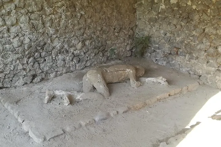 2-Hour Private Pompeii Tour for Kids with Alex – Skip the Line, photo 4 from the operator's listing