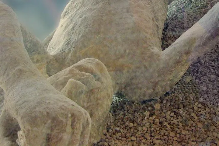 Pompeii & Vesuvius