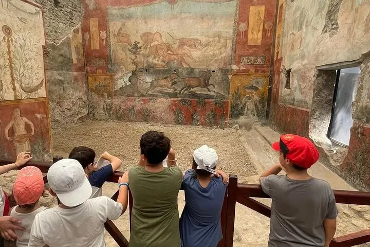 From Sorrento: Pompeii and Mount Vesuvius Day Trip with Guide, photo 5 from the operator's listing
