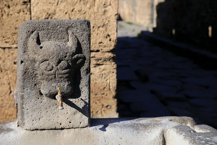 Skip-the-Line Half-Day Private Tour Ancient Pompeii Highlights with Native Guide, photo 5 from the operator's listing