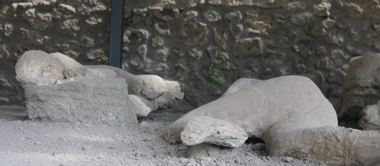 Casts of the victims in the Garden of the Fugitives